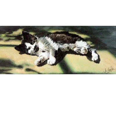 A Lazy Afternoon By: Jo Campin