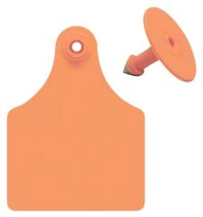 Allflex Ear Tag Blank