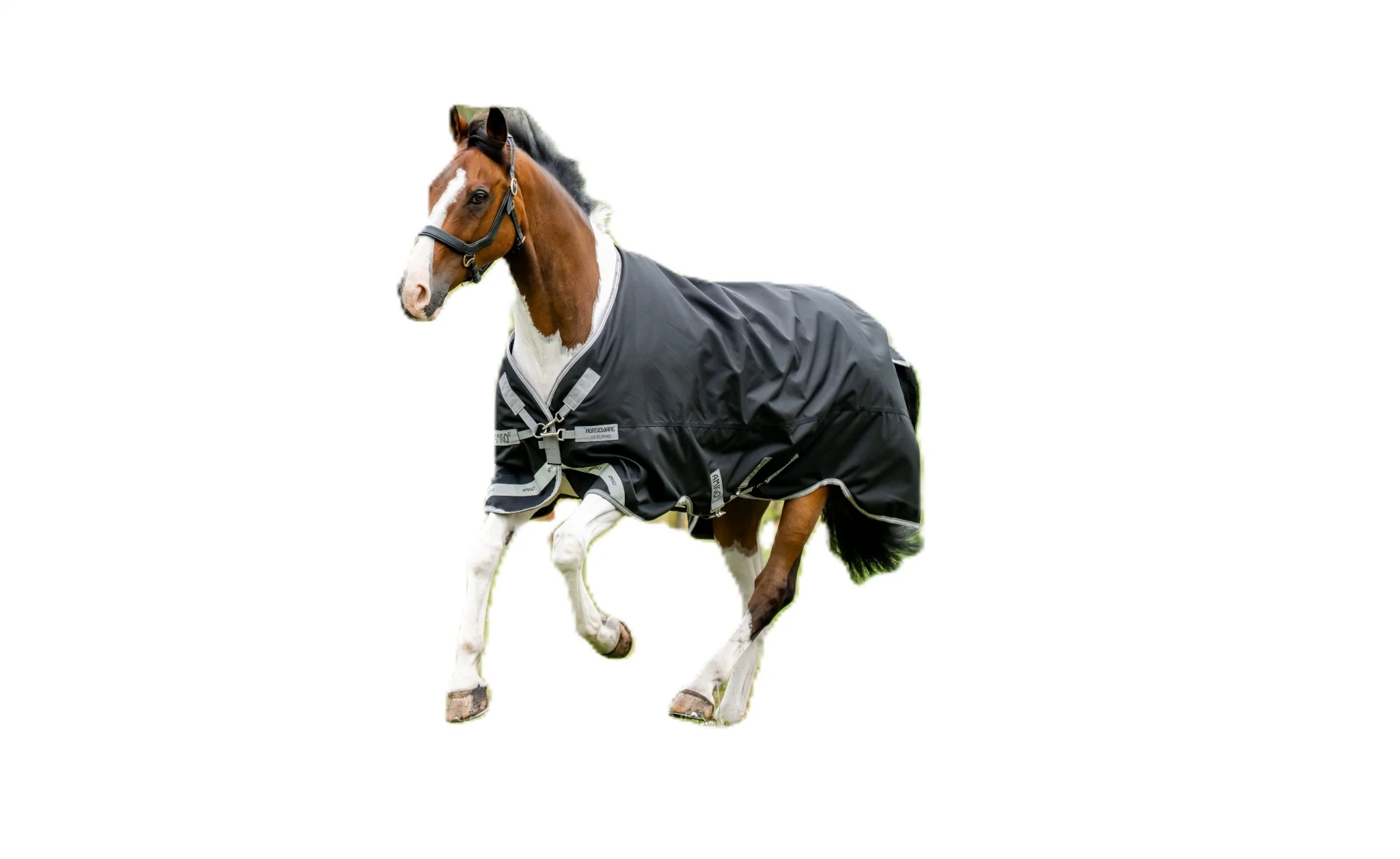 Amigo 1200D Turnout 100g - Image 2