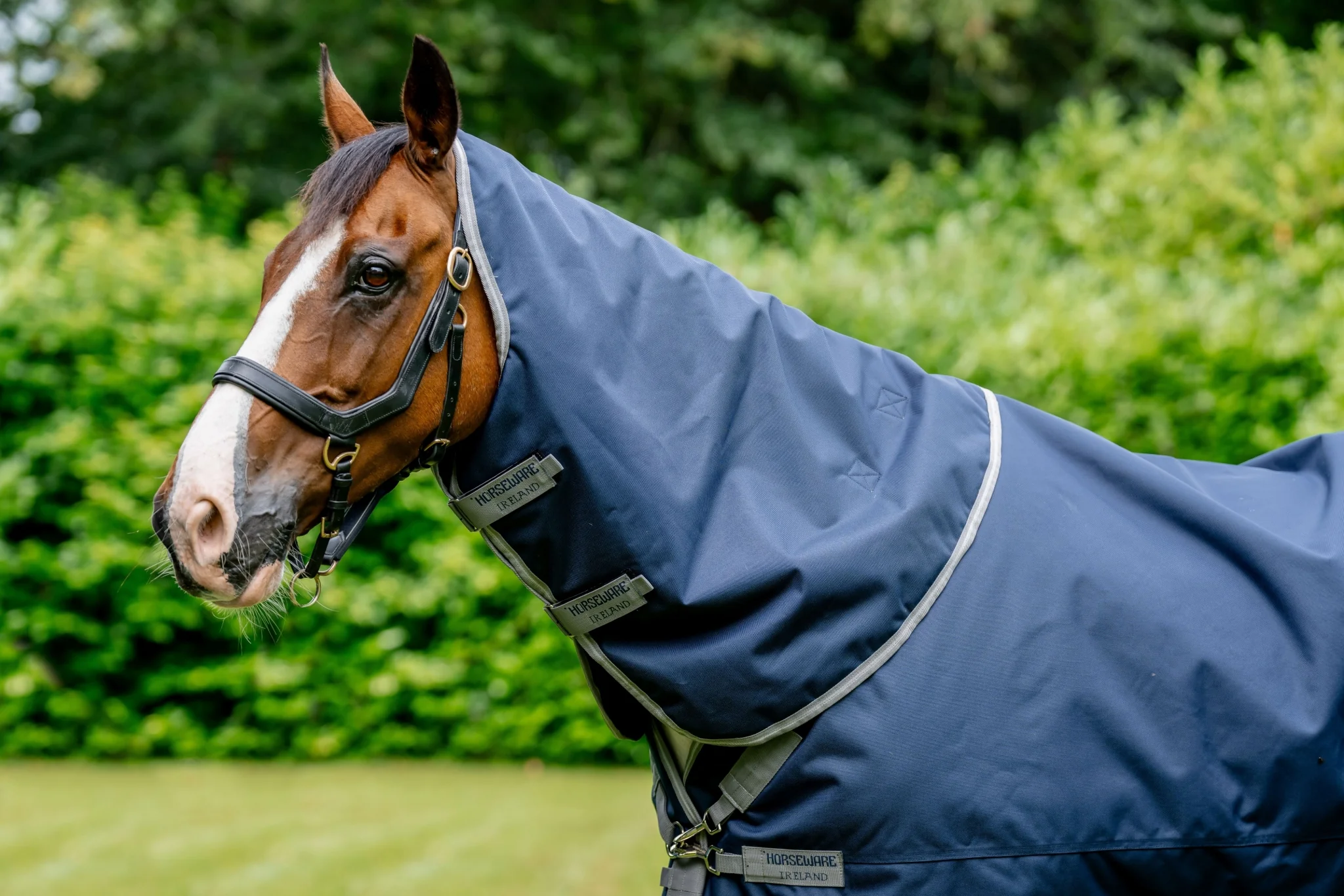 Amigo 1200D XL Turnout Hood 150g - Image 3