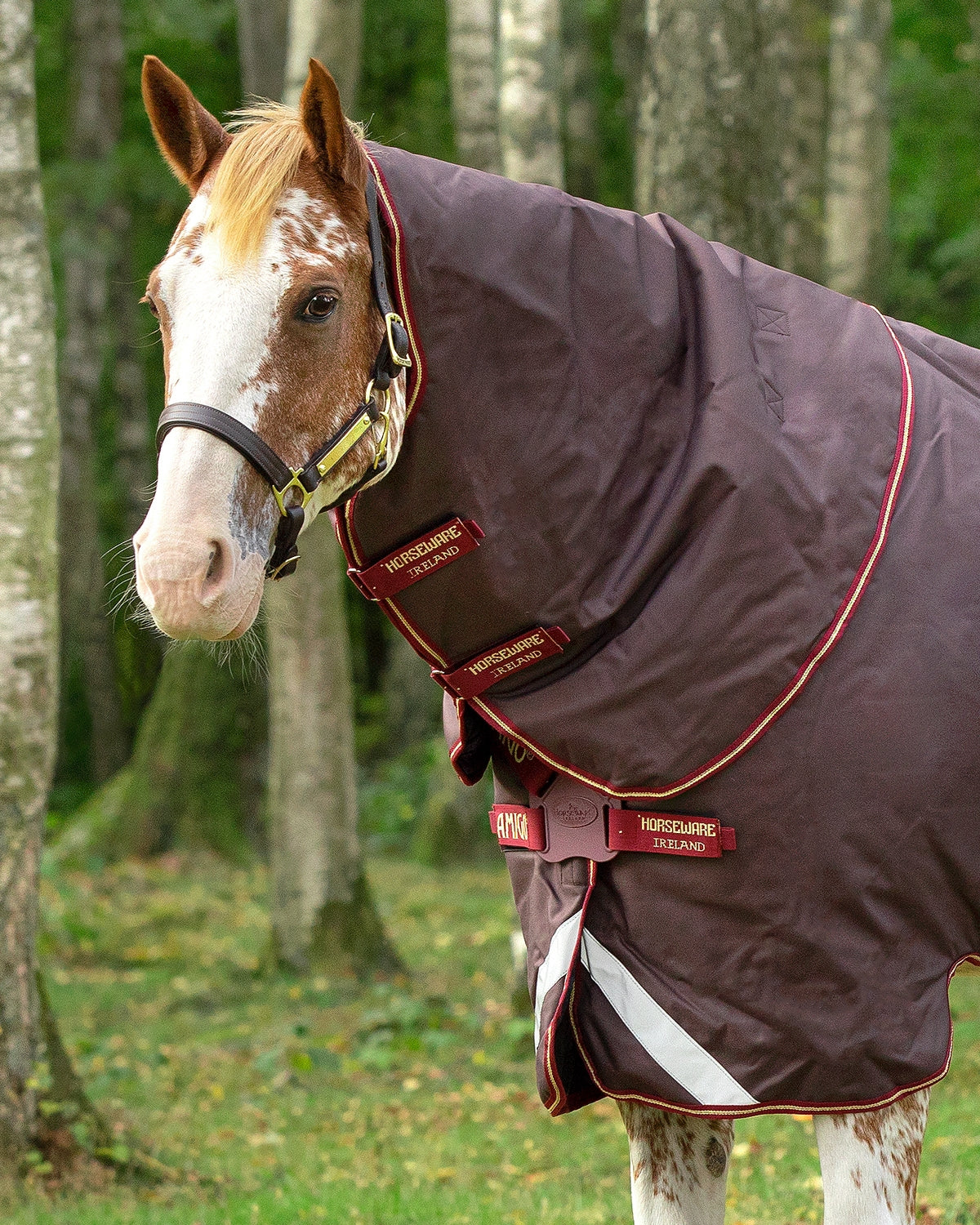 Amigo Bravo 12 Neck Cover - Medium (150 g) - Image 2