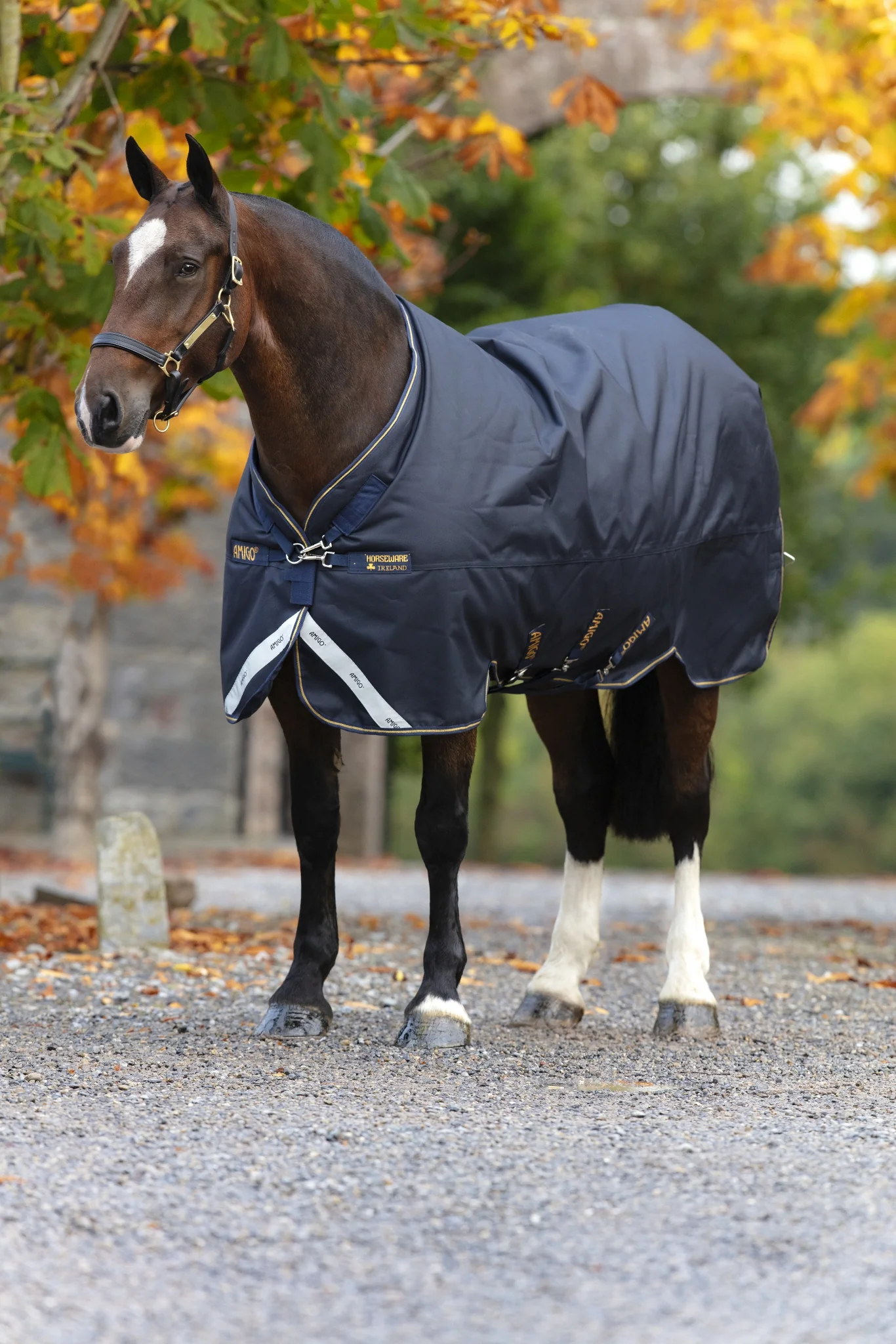 Amigo Bravo 12 XL Turnout Blanket (250g Medium)