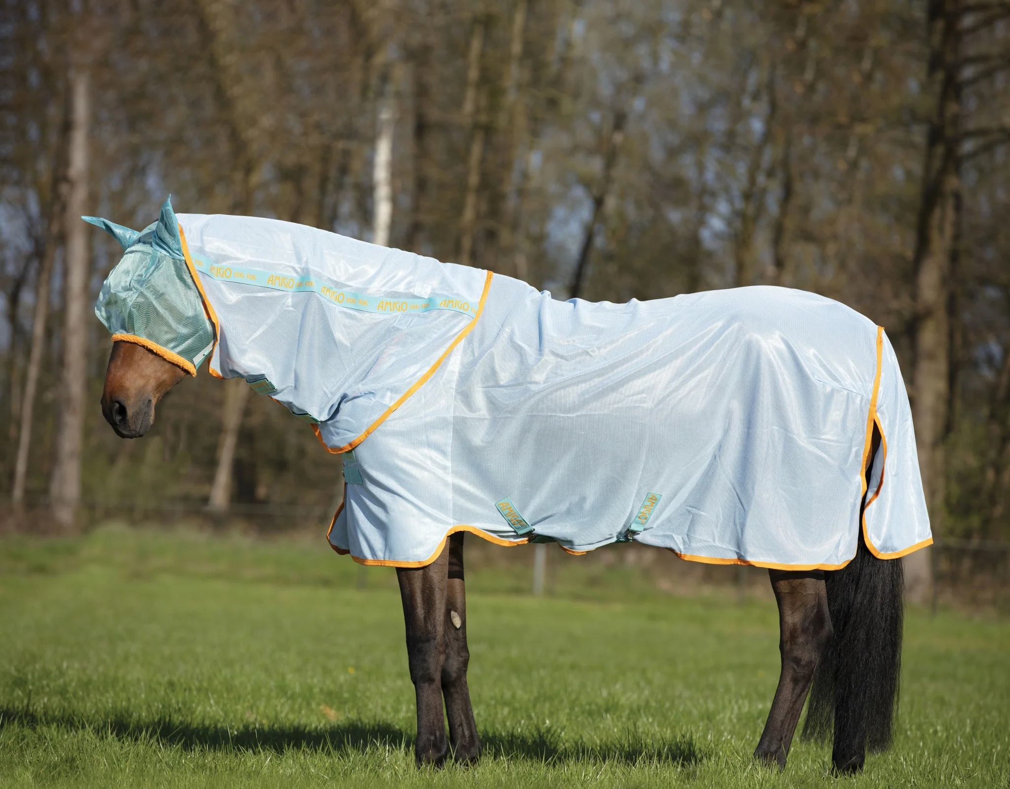 Amigo Fly Sheet - Image 3