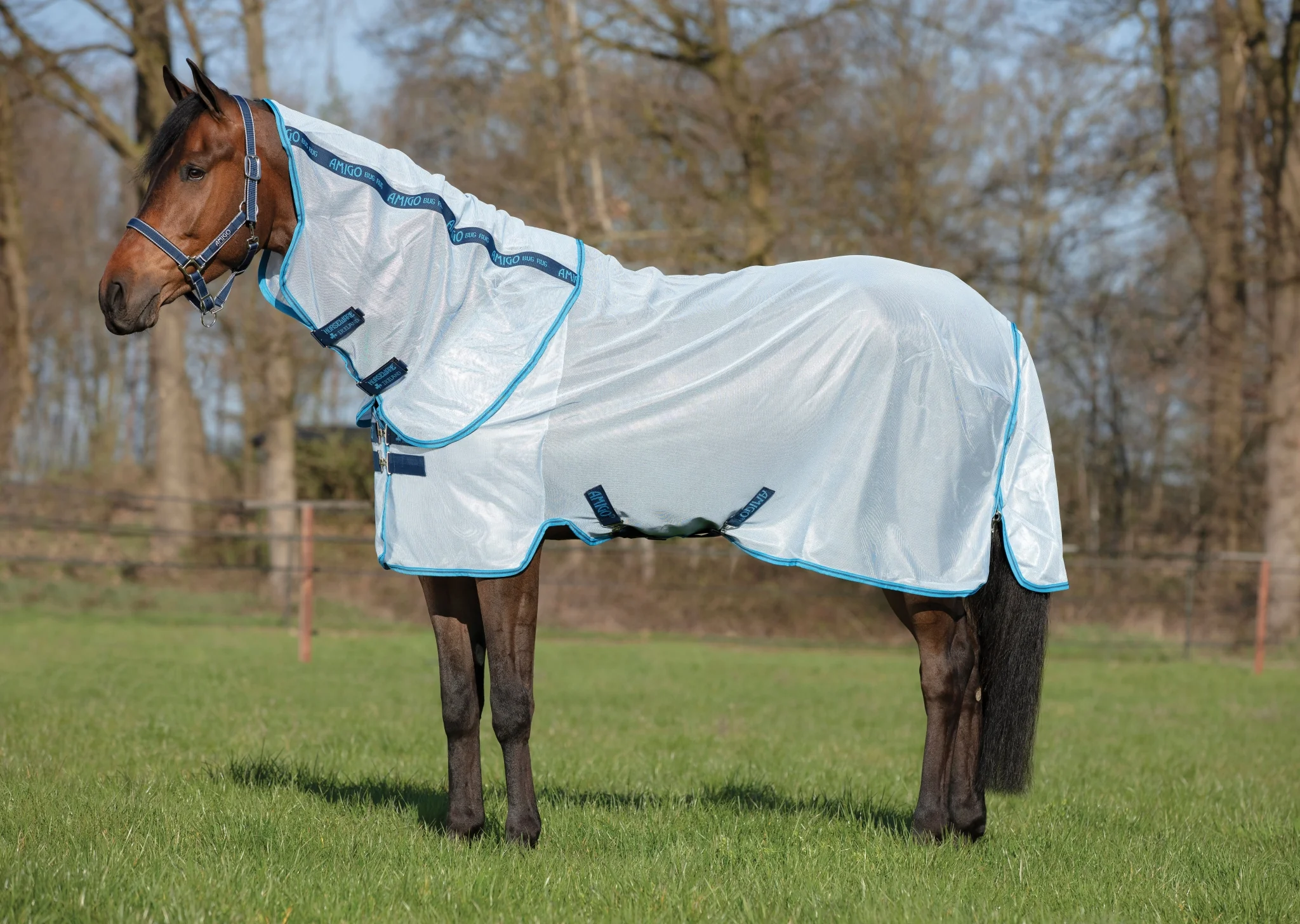 Amigo Fly Sheet - Image 4