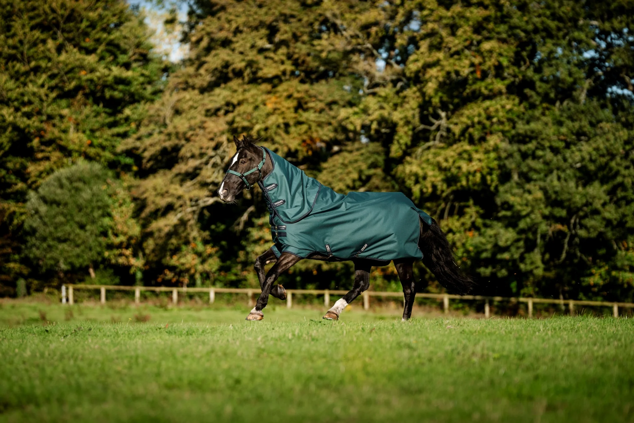 Amigo Ripstop 900D Plus Pony Turnout 200g - Image 4