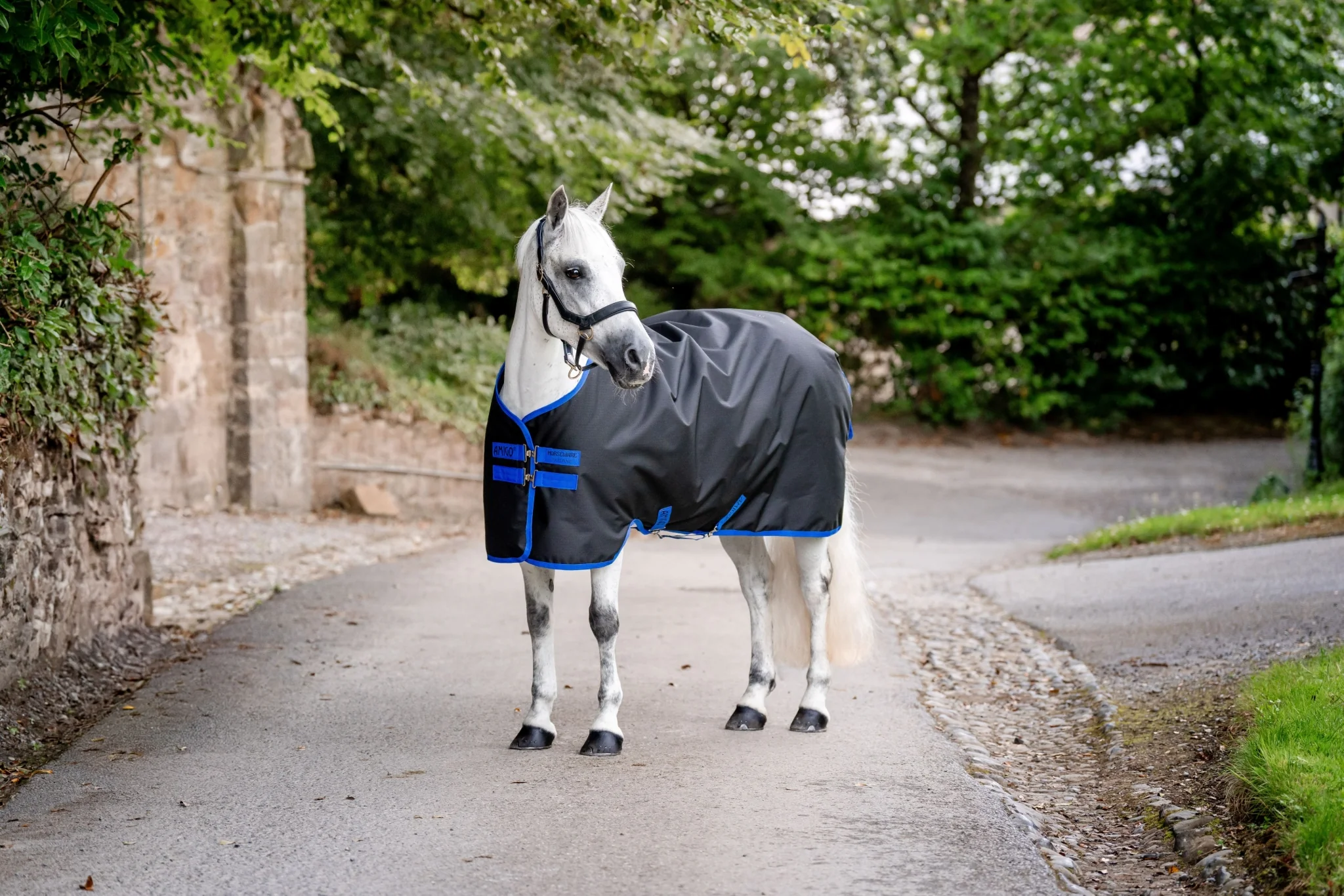 Amigo Ripstop 900D Pony Turnout 100g - Image 5