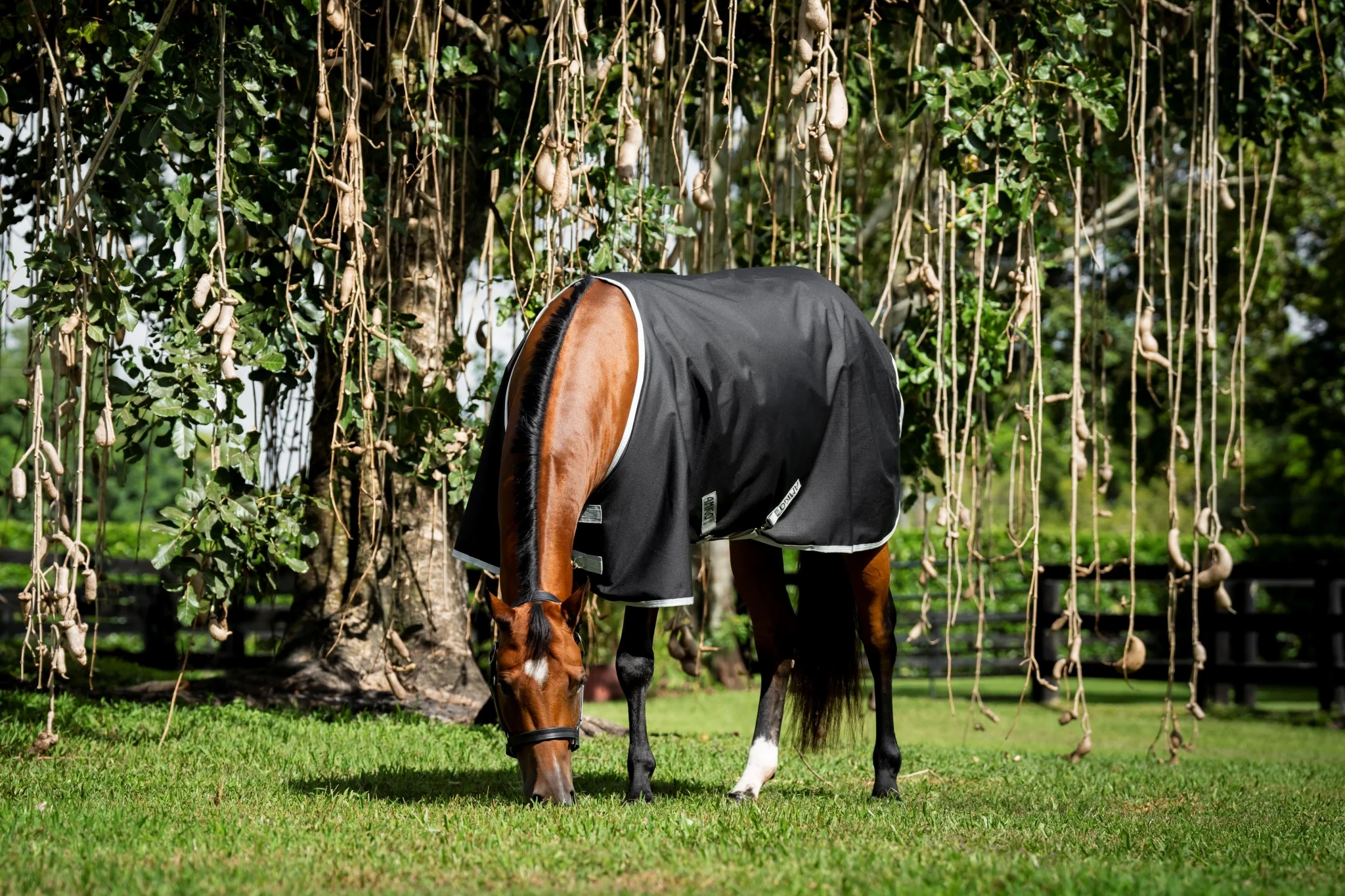 Amigo Ripstop 900D Quarter Horse Plus Turnout 0g - Image 2