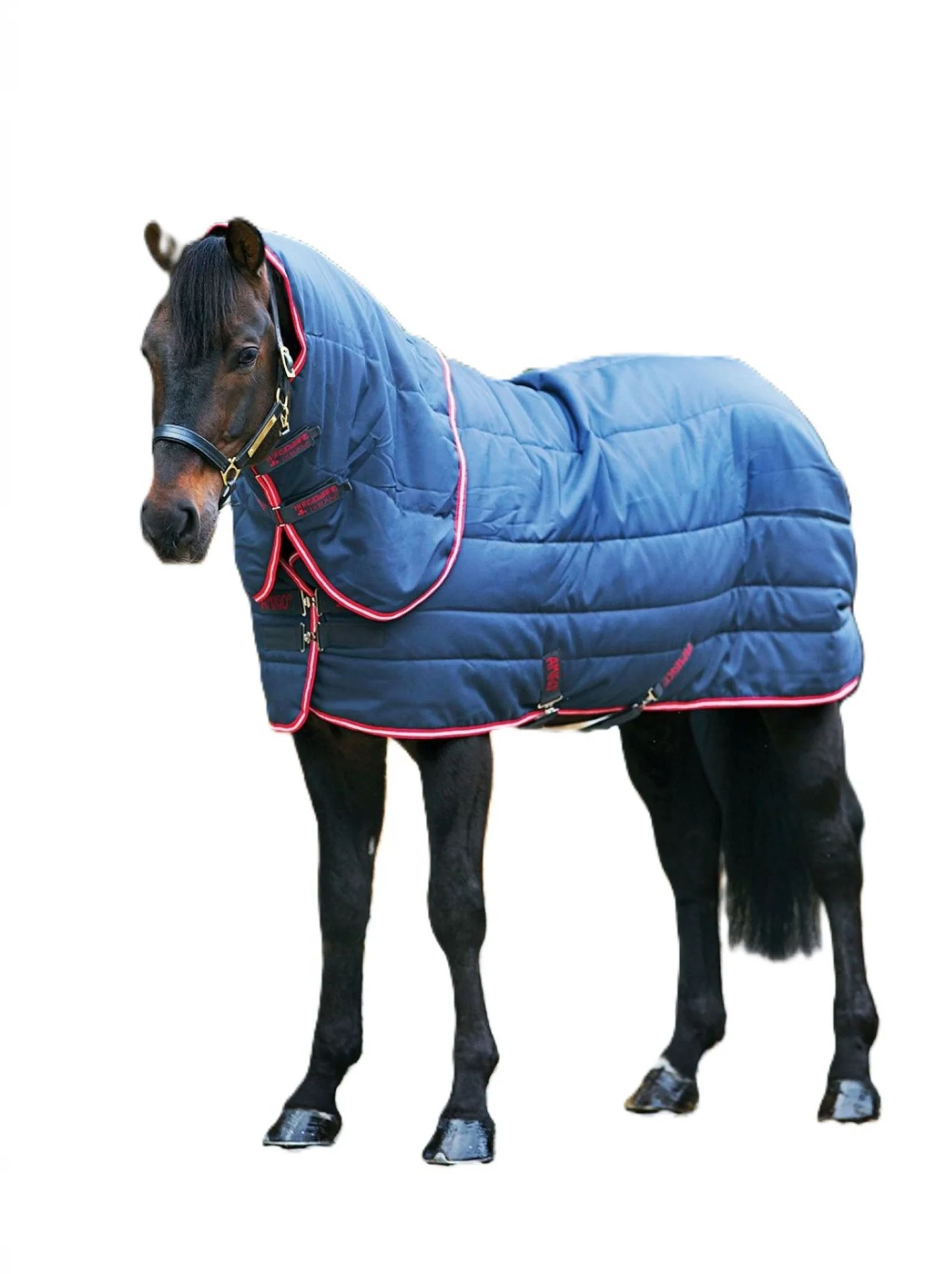 Amigo Stable Vari-Layer (250g Medium)