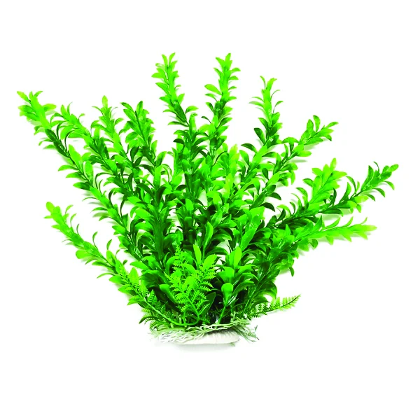 Aquatop Anacharis Like Aquarium Plant - Image 2