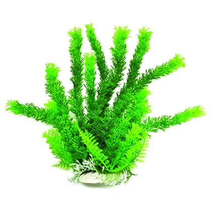 Aquatop Cabomba Like Aquarium Plant - Image 2