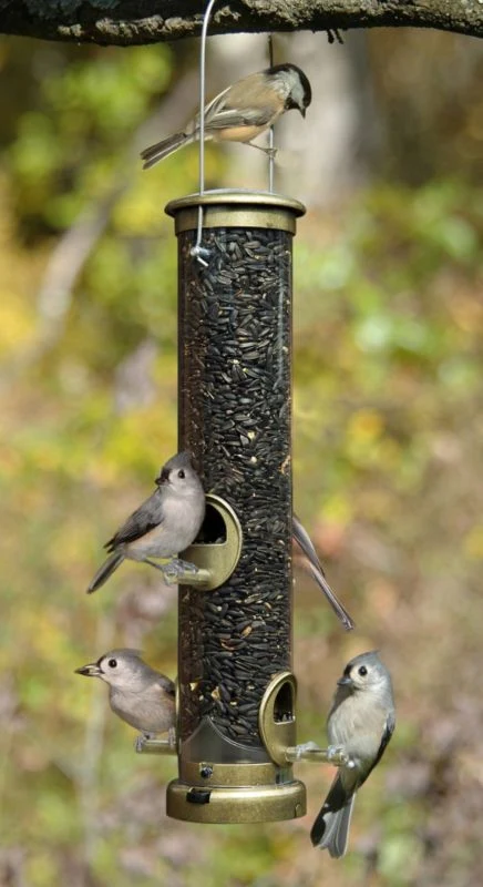 Aspects Quick-Clean Seed Tube Feeder