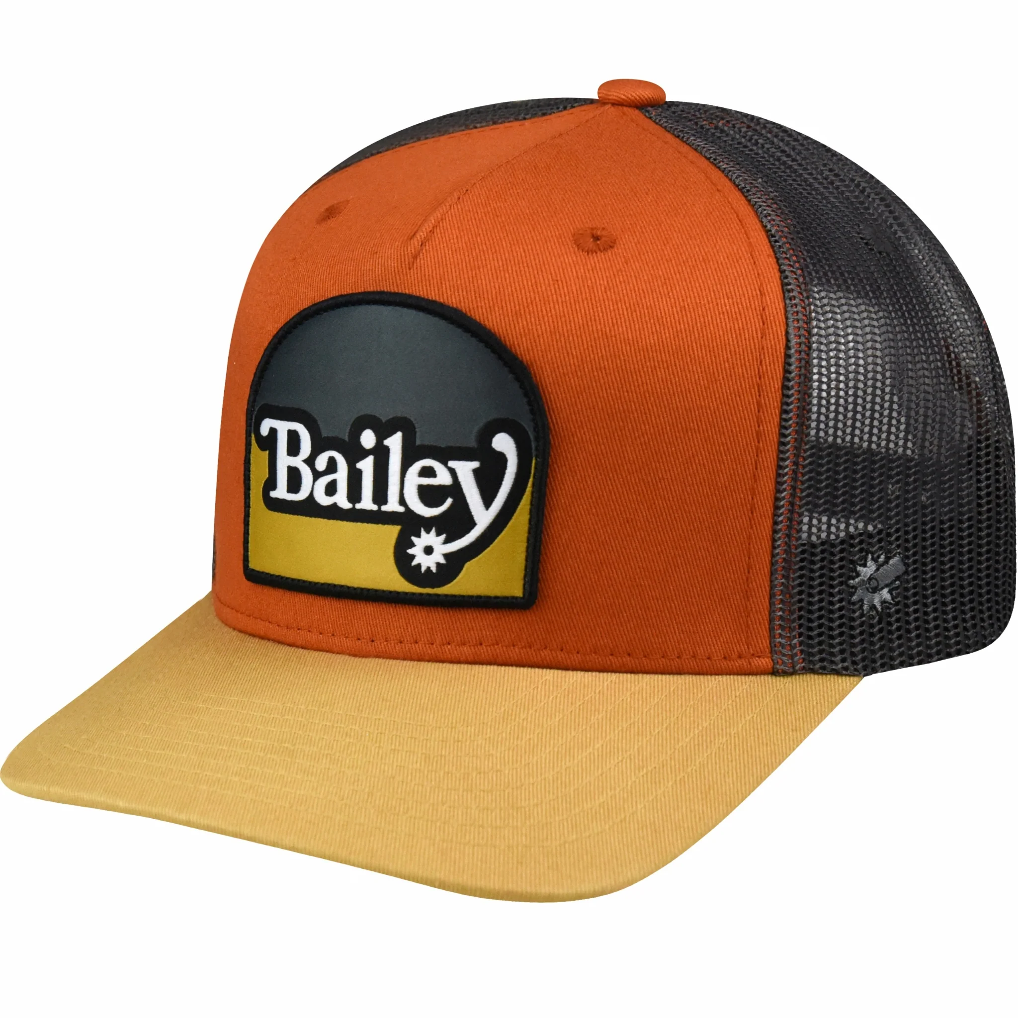 Bailey Paine Cowboy Hat - Image 4