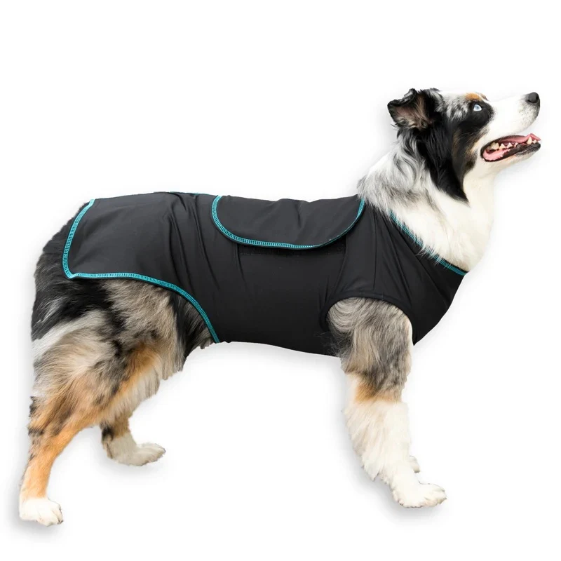 BeneFab Canine Comfort & Care Shirt