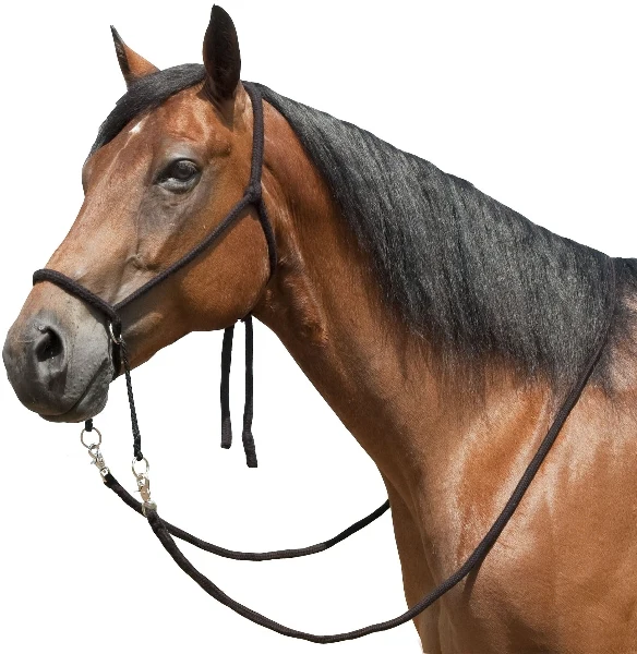 Bitless Bridle With Flat Braided Reins