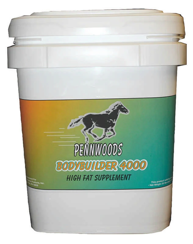 Body Builder 4000 Powder