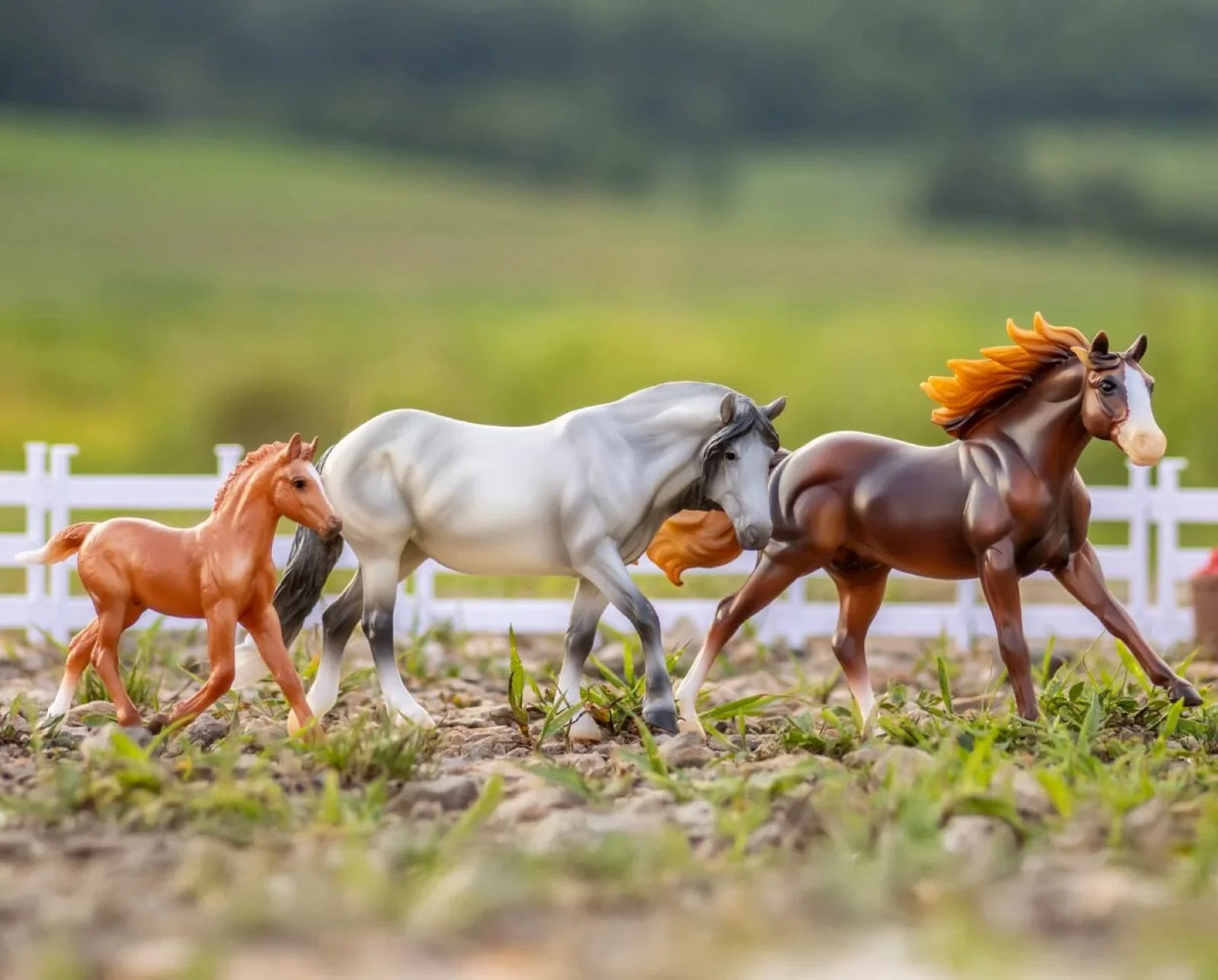 Breyer Playful Pony Horse Family - Image 6