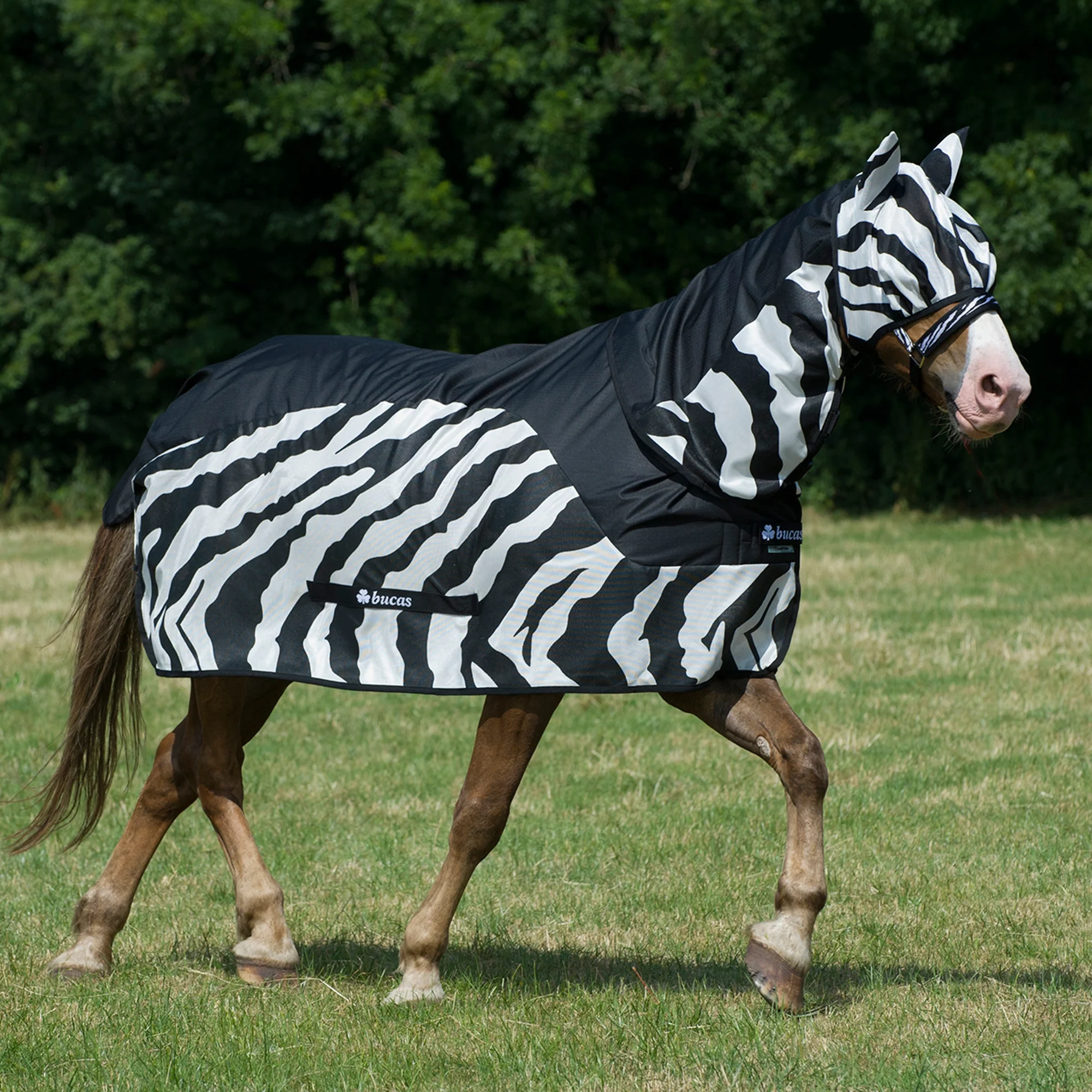 Bucas Buzz Off Rain Neck Cover - Zebra