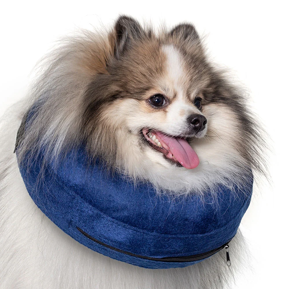 Calm Paws Basic Inflatable Collar - Image 3