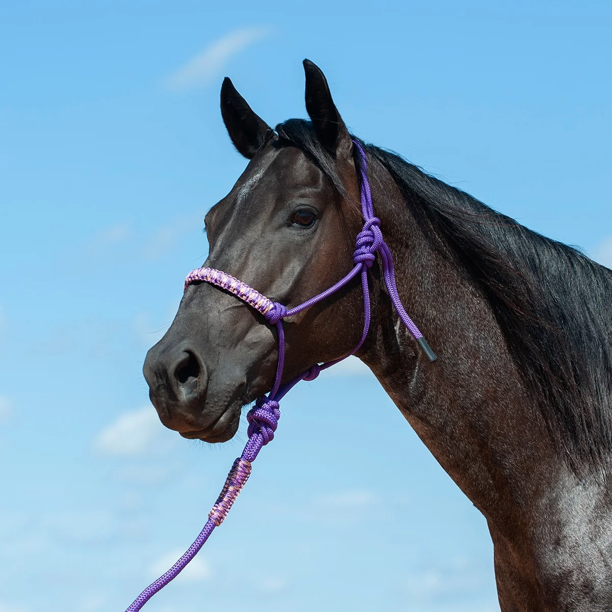 Cashel Braided Rope Halter with Lead - Image 4