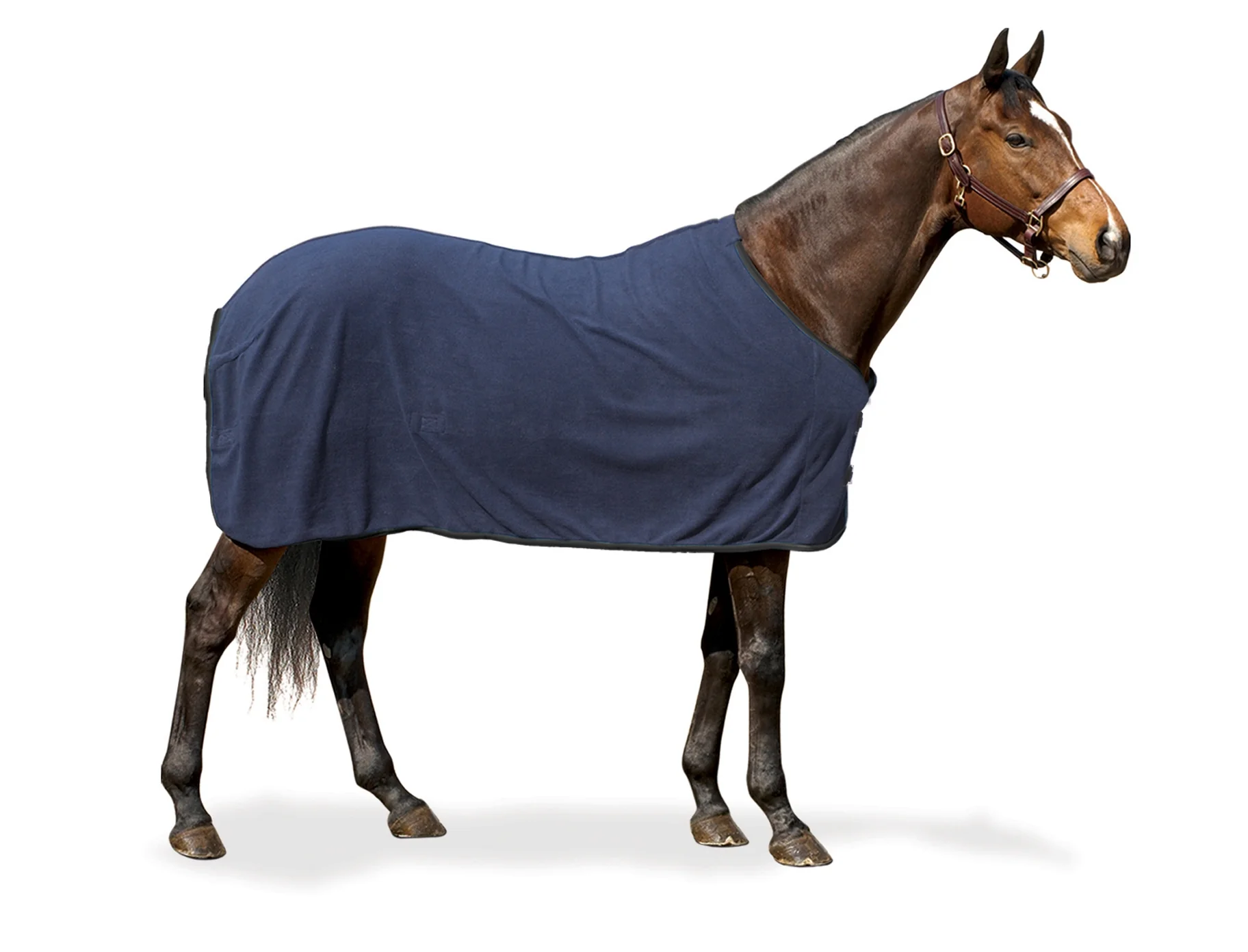 Centaur 220g Fleece Sheet - Solid