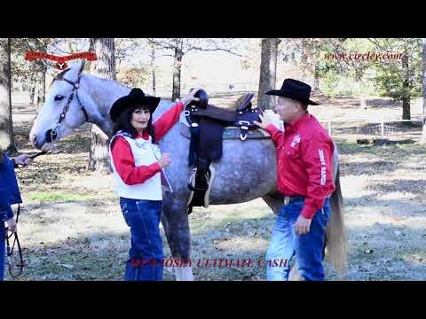 Circle Y Josey Ultimate Cash Hardseat Barrel Saddle - Image 5