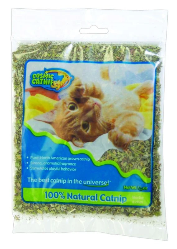 Cosmic Catnip Cup