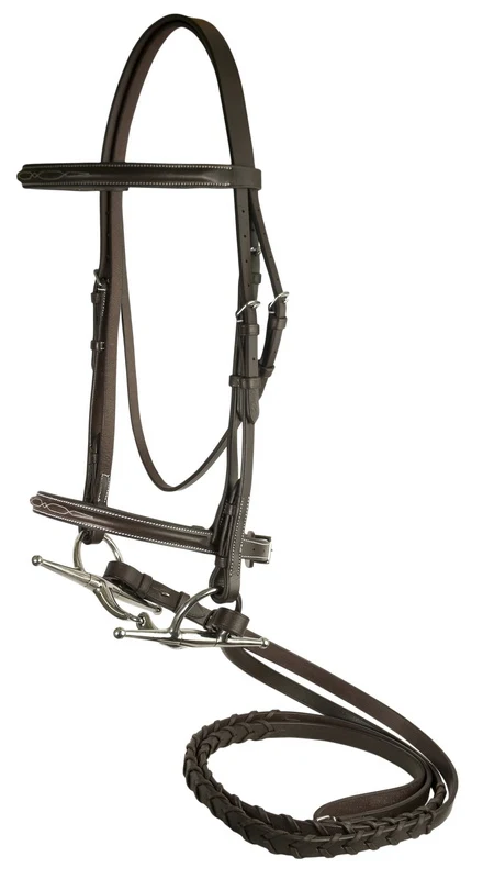 Da Vinci Fancy Raised Bridle with Flat Laced Reins