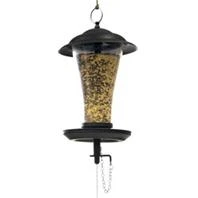Effortless Mixed Glass Seed Feeder