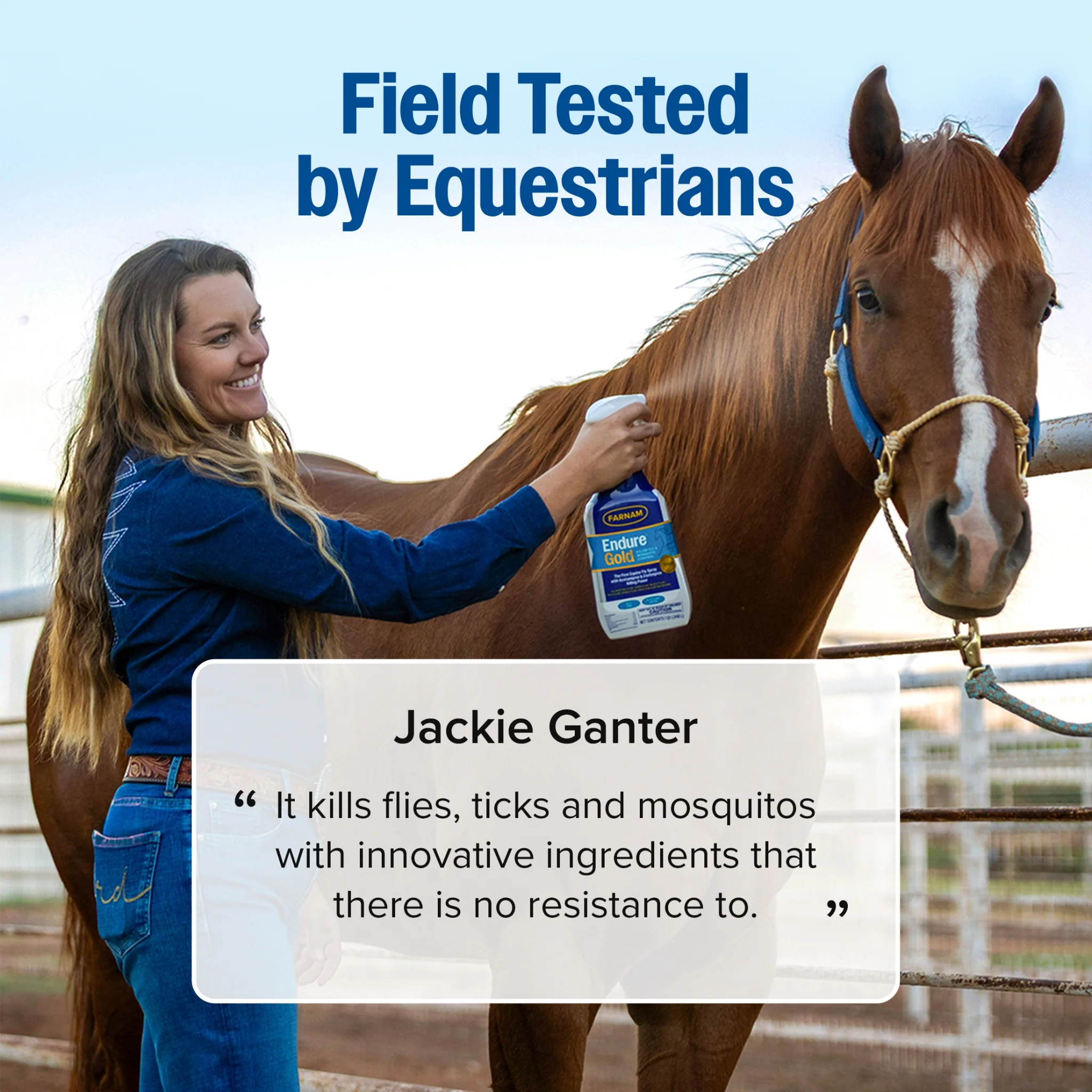 Farnam Endure Gold Fly Spray for Horses - Image 4