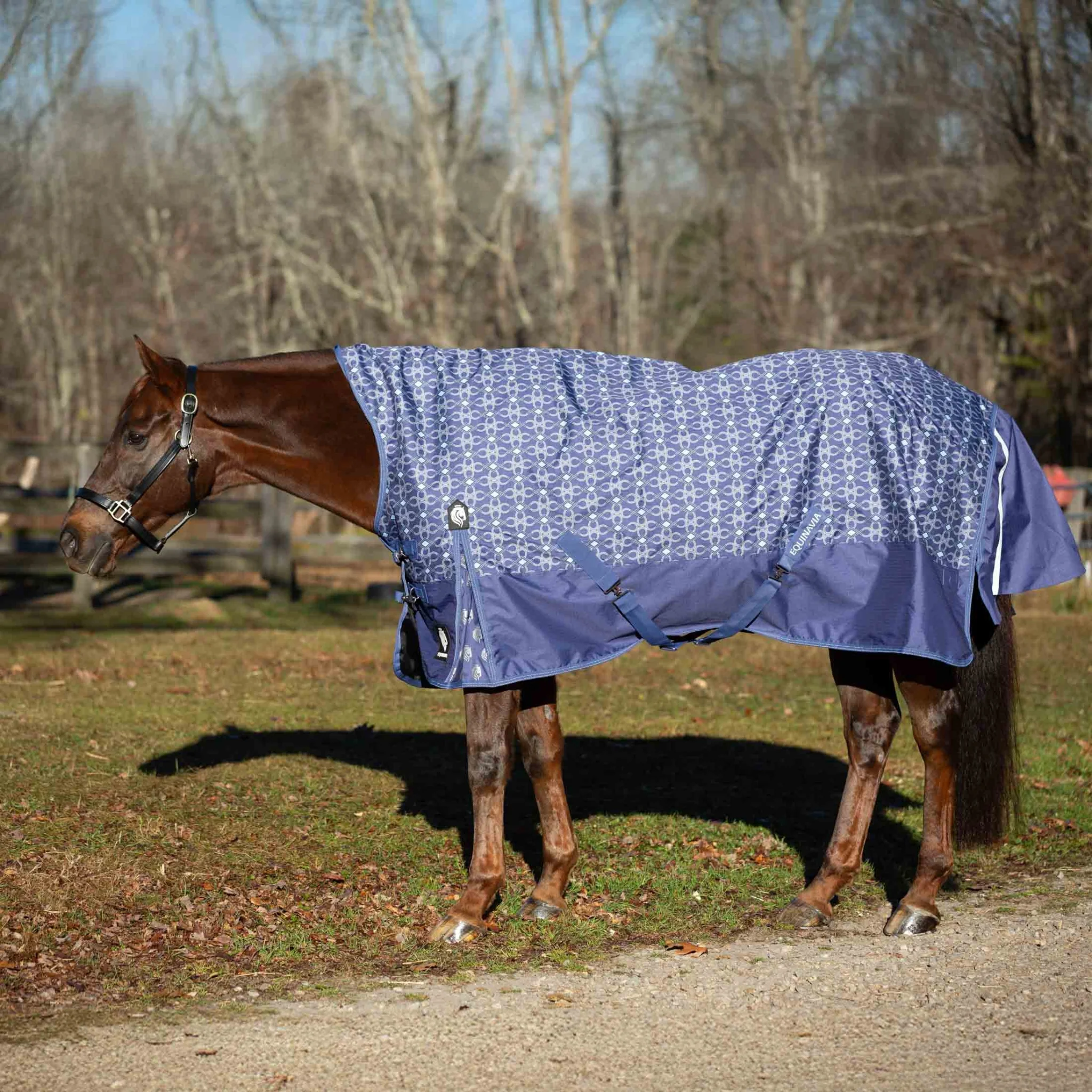 Equinavia Arktis Extended Neck Heavy Weight Turnout Blanket 300g - Image 17