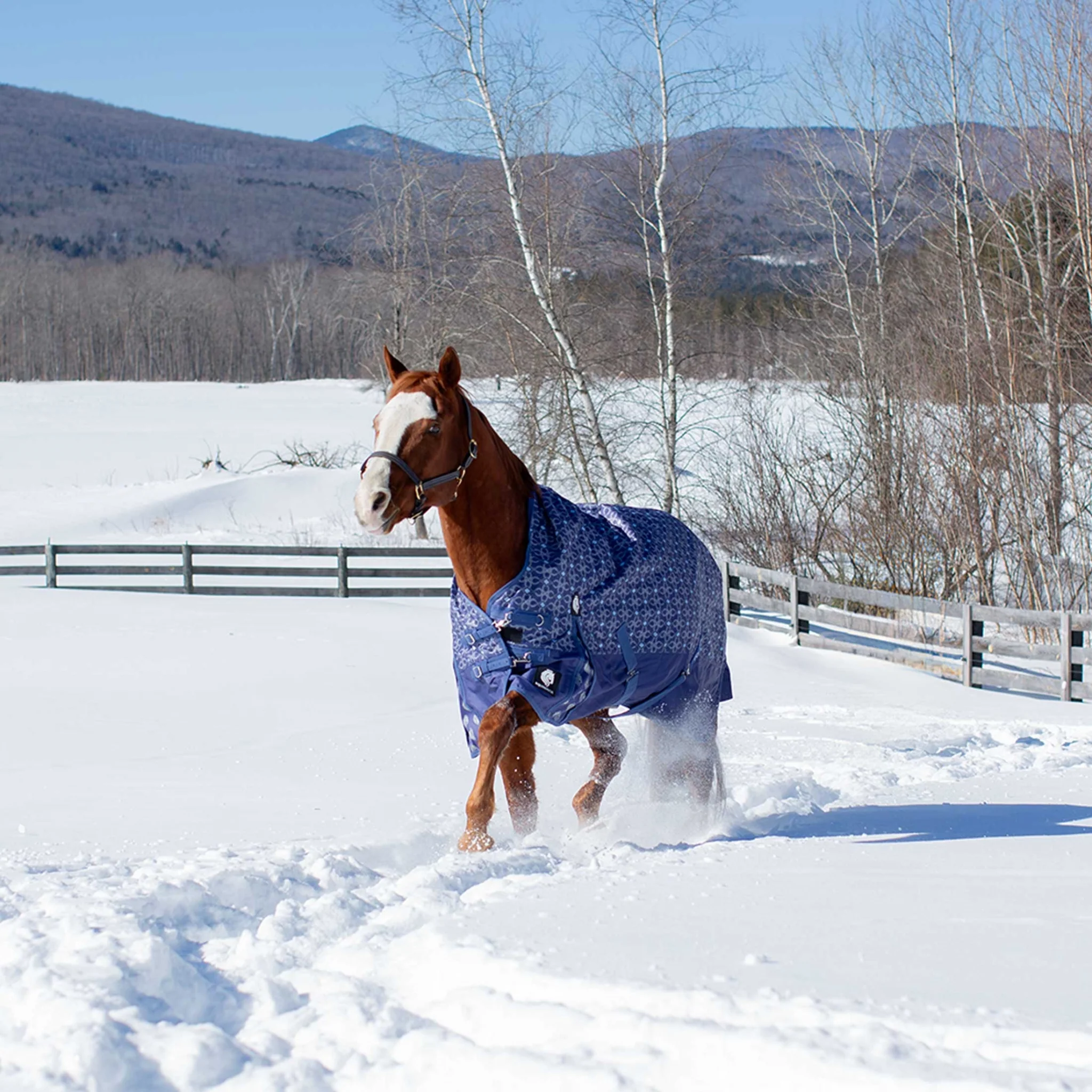 Equinavia Arktis Extended Neck Light Weight Turnout Blanket 100g - Image 24