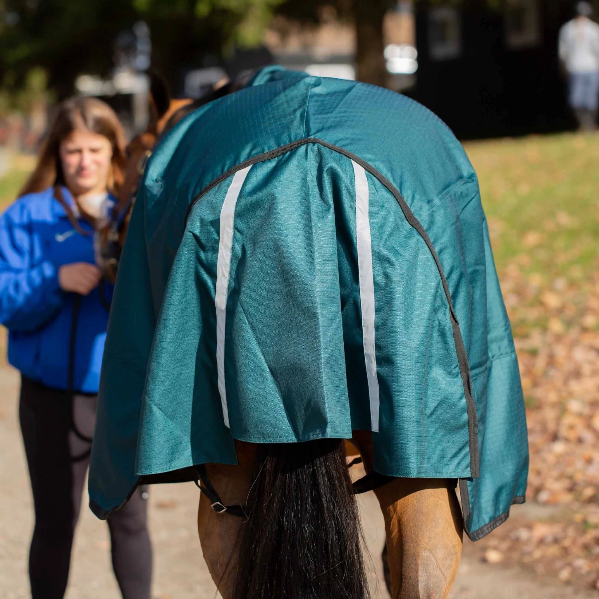 Equinavia Arktis Extended Neck Mid Weight Turnout Blanket 200g - Image 10