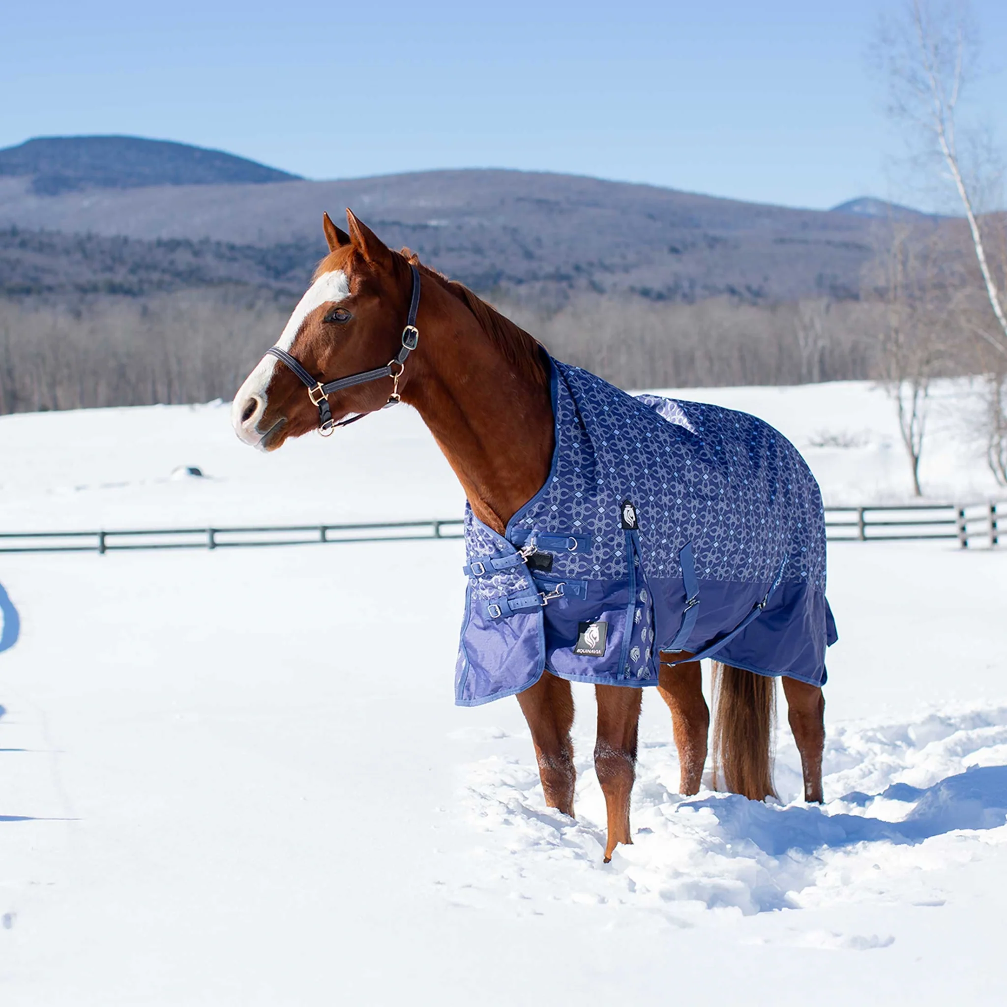 Equinavia Arktis Extended Neck Mid Weight Turnout Blanket 200g - Image 24