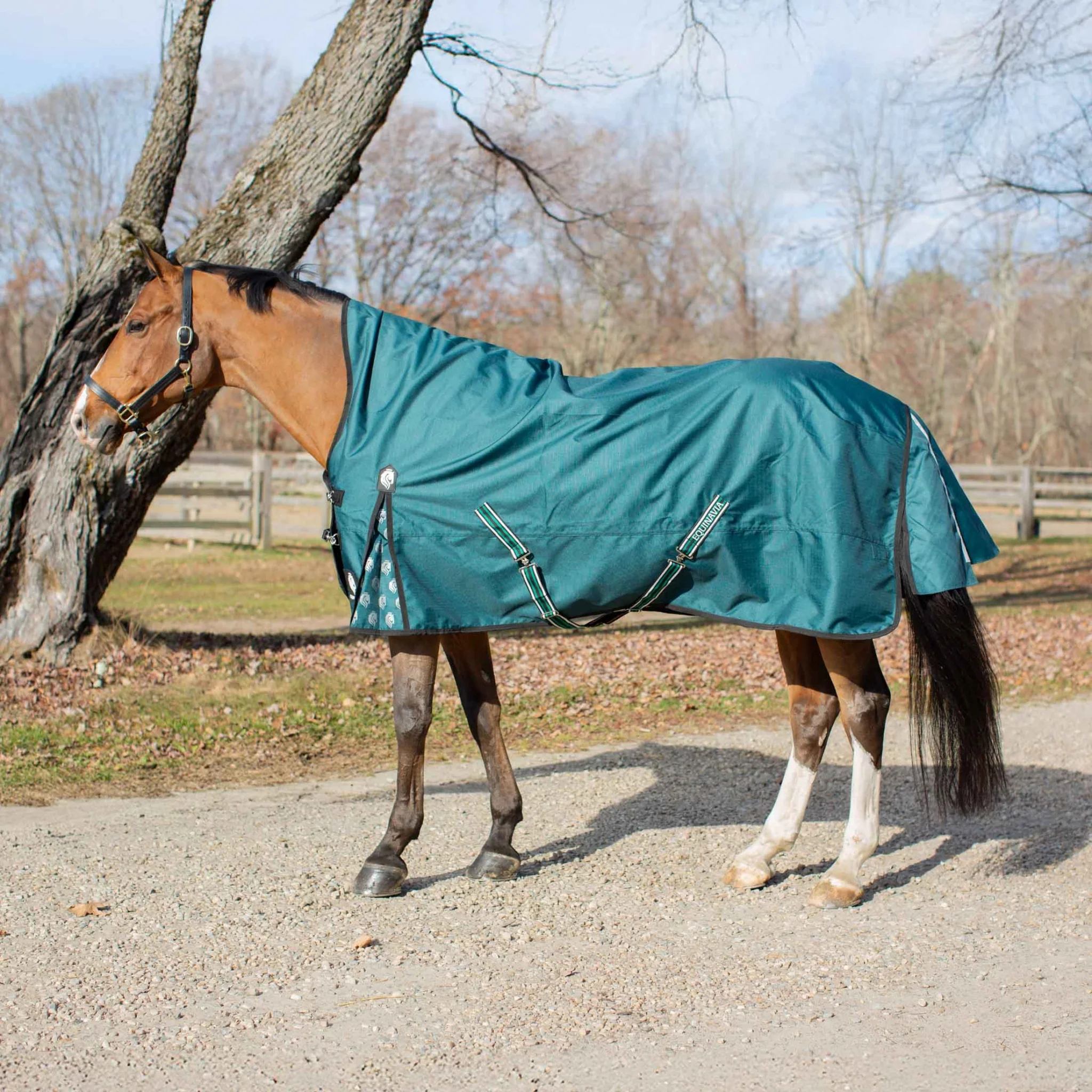 Equinavia Arktis Extended Neck Mid Weight Turnout Blanket 200g - Image 4