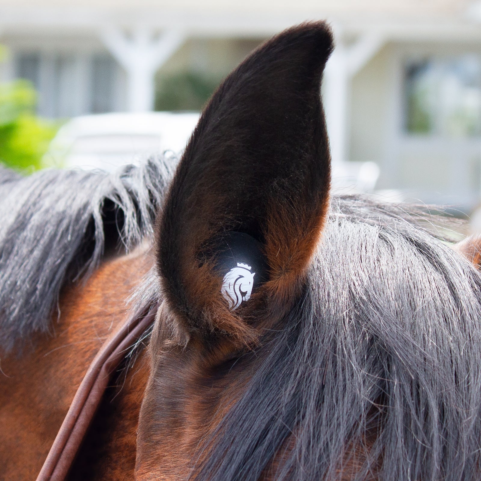 Equinavia BudZ - 3 Pair - Image 2
