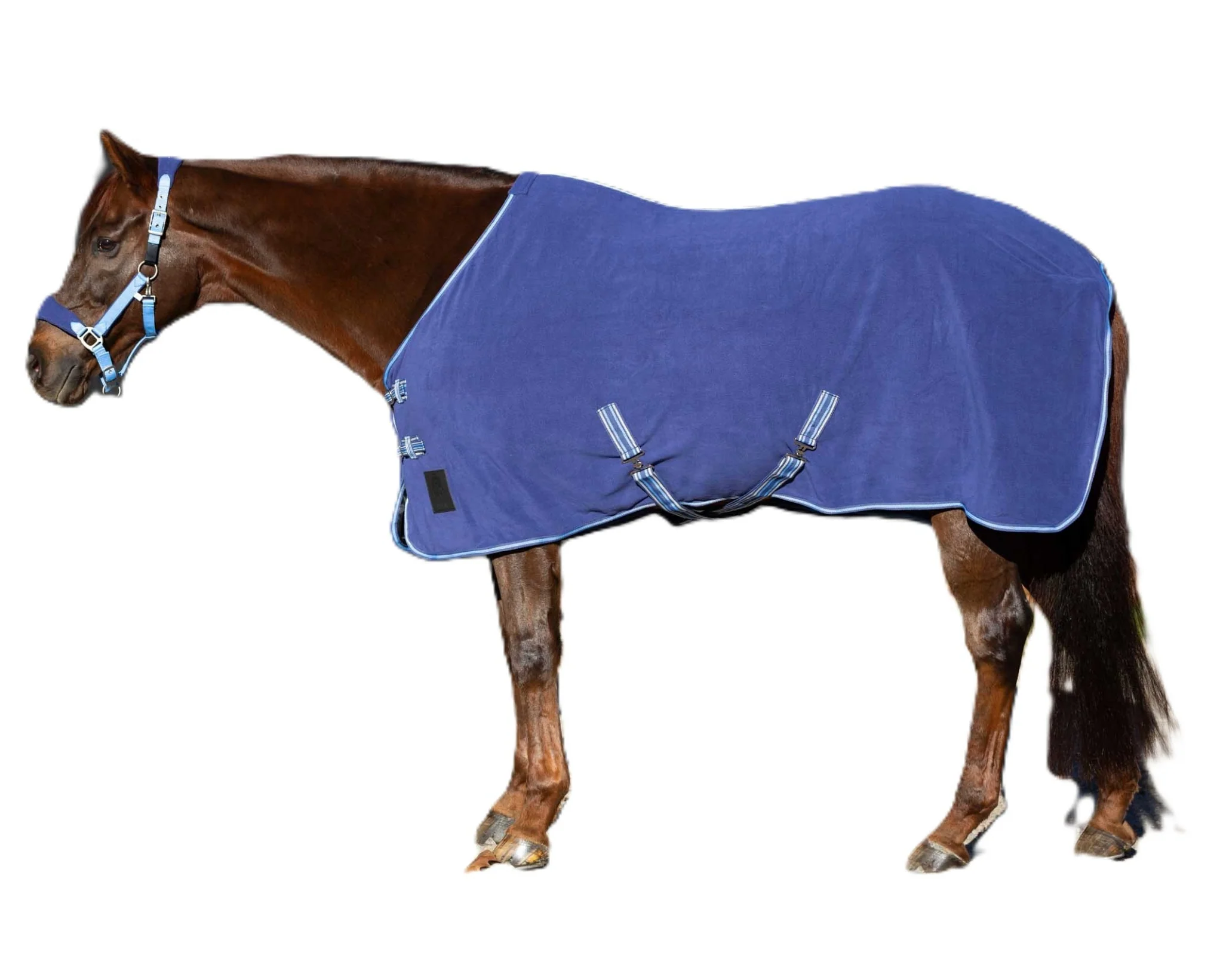 Equinavia Norse Fleece Cooler - Image 4