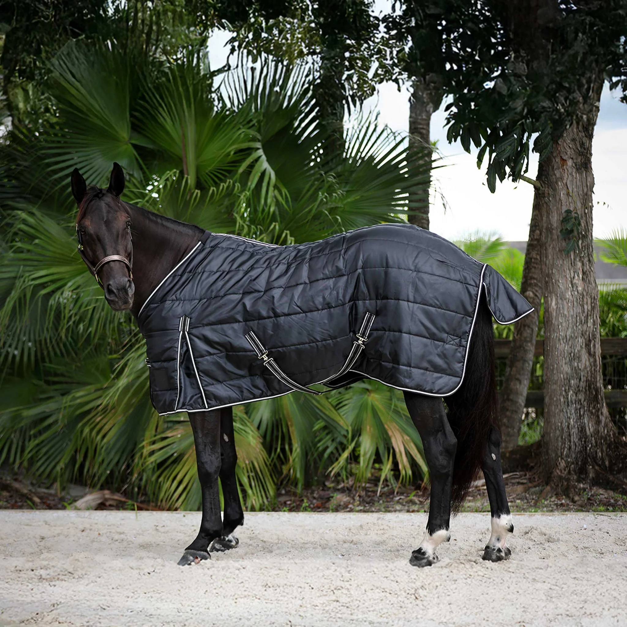 Equinavia Norse Gusseted Stable Blanket 100g - Image 2