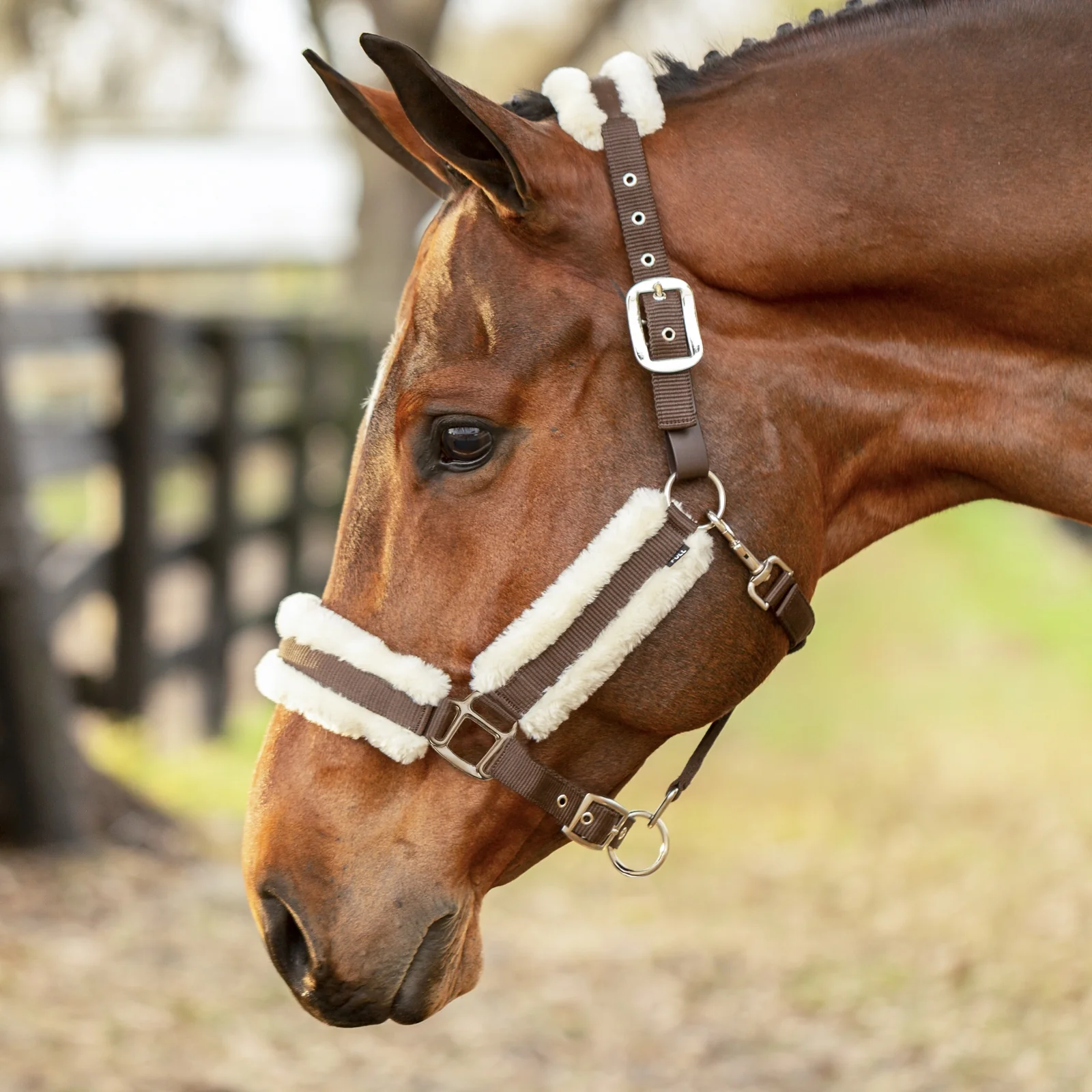Equinavia Valkyrie Ultra Fleece Breakaway Halter - Image 6
