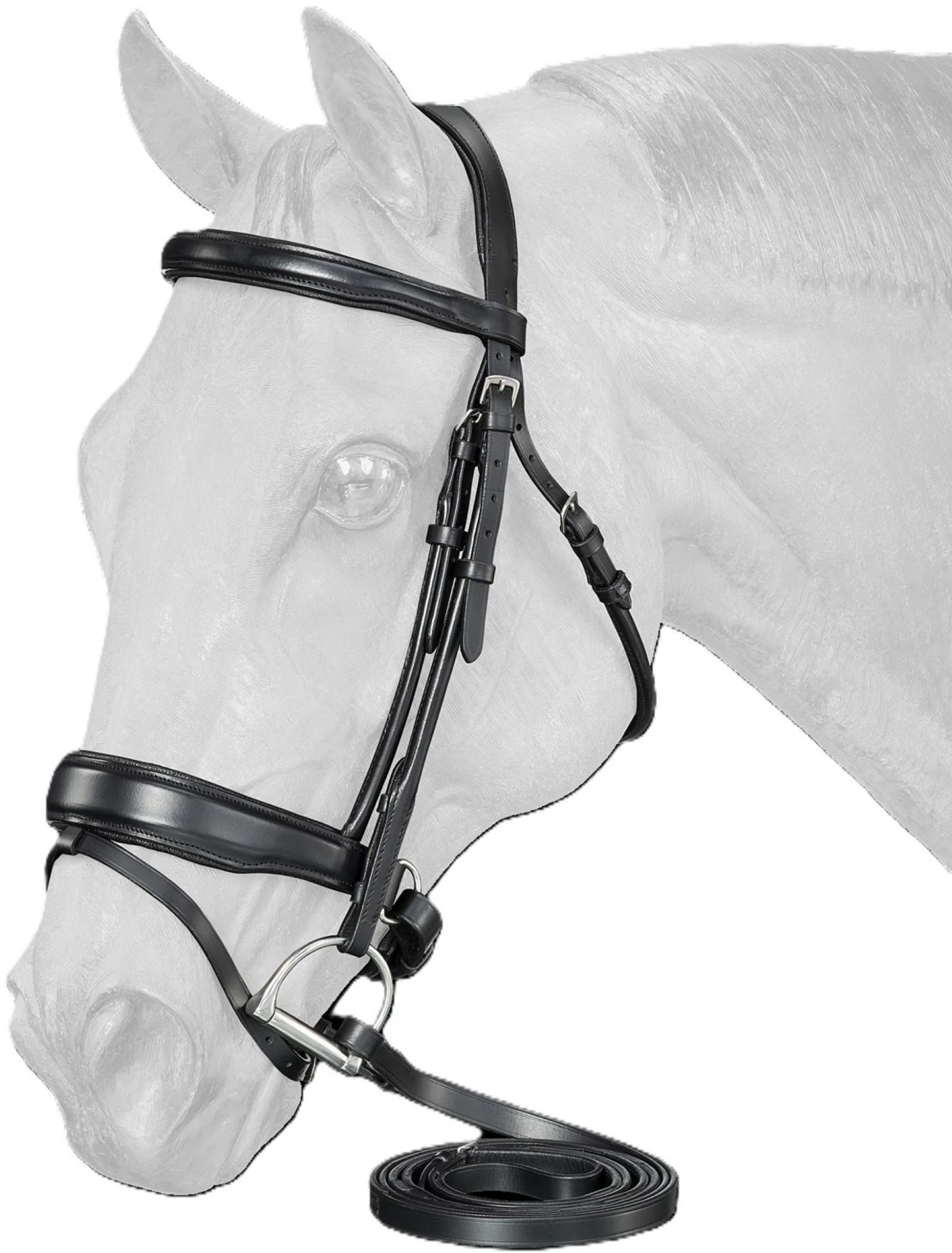 Equitare Cadence Dressage Bridle