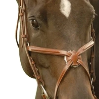 Exselle Elite Figure 8 Plain Raised Noseband