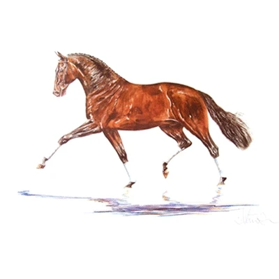 Hengst, Dressage Art Print by Jan Kunster