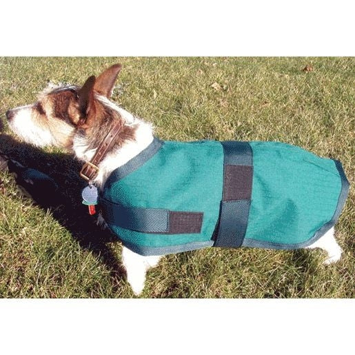 High Spirit Dog Rain Coat - Image 6