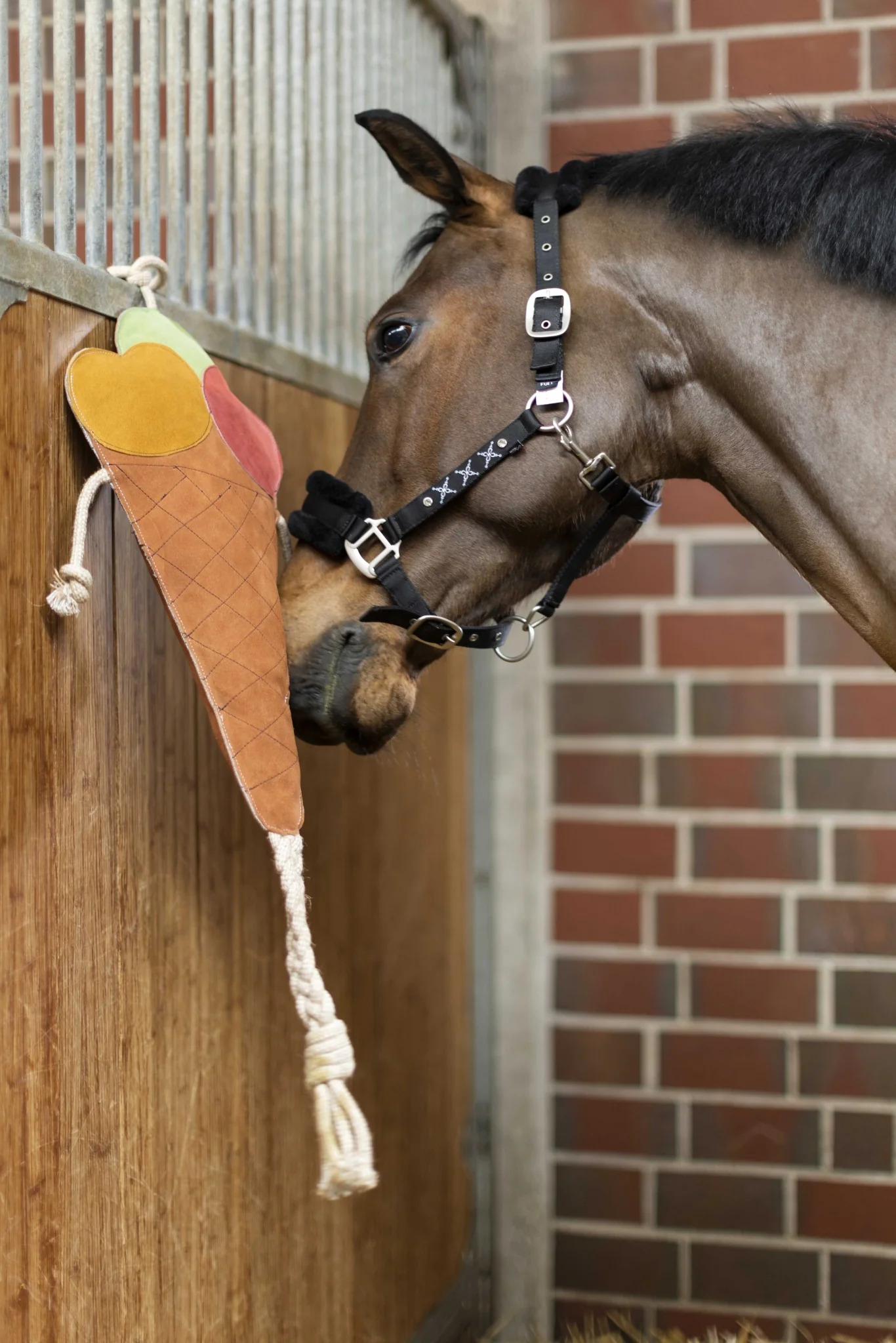 HKM Ice Cream Toy For Horses - Image 4