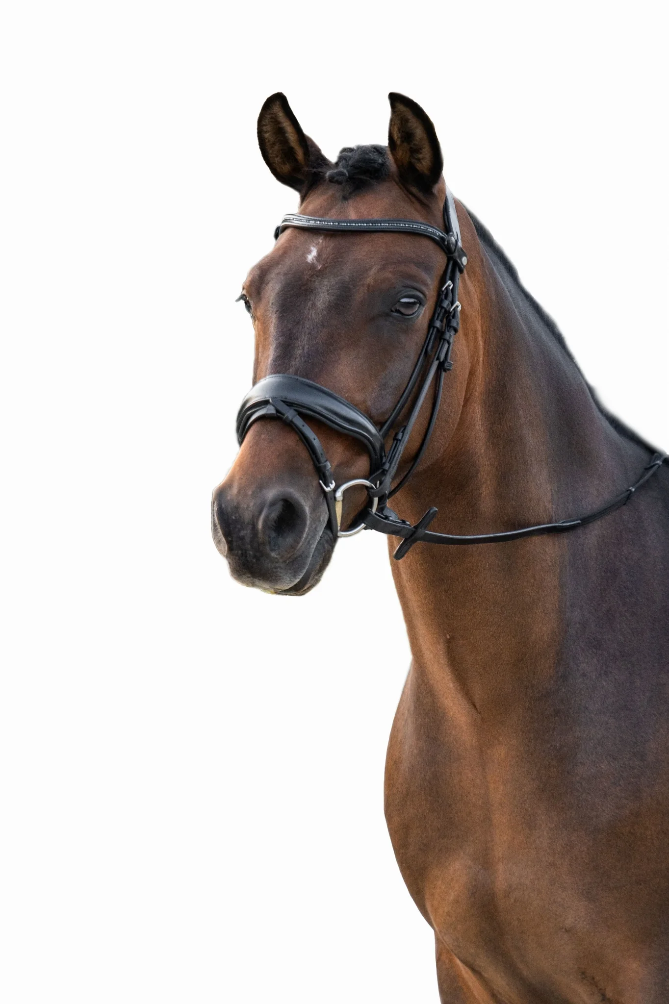 HKM Ira Bridle - Image 2