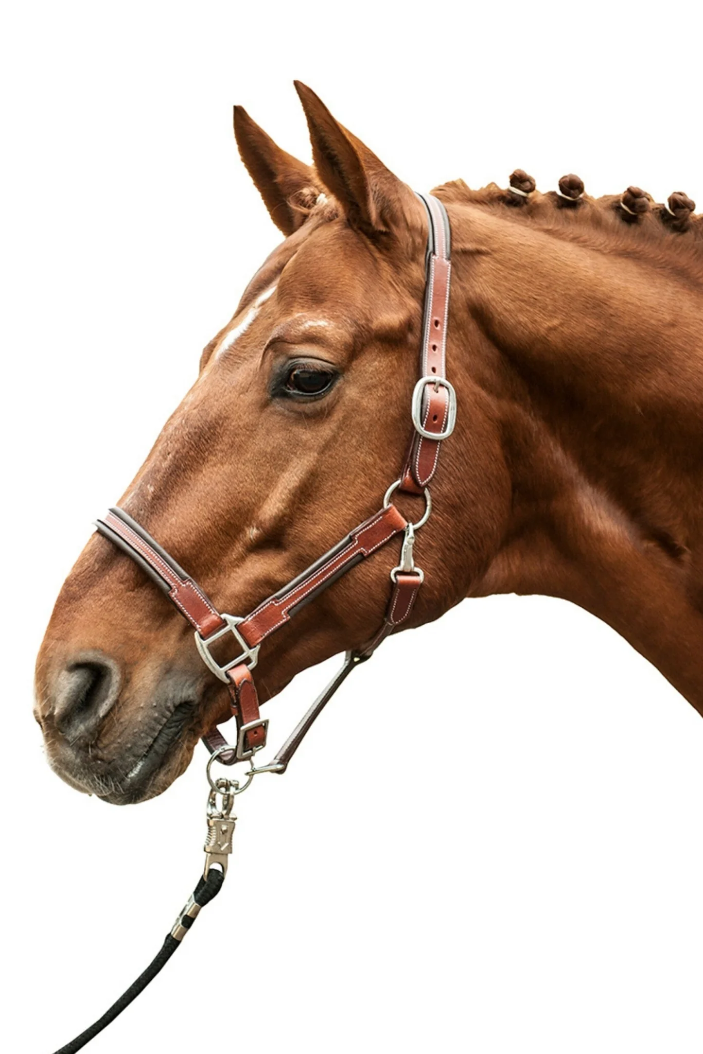 HKM Soft Leather Head Collar - Image 2