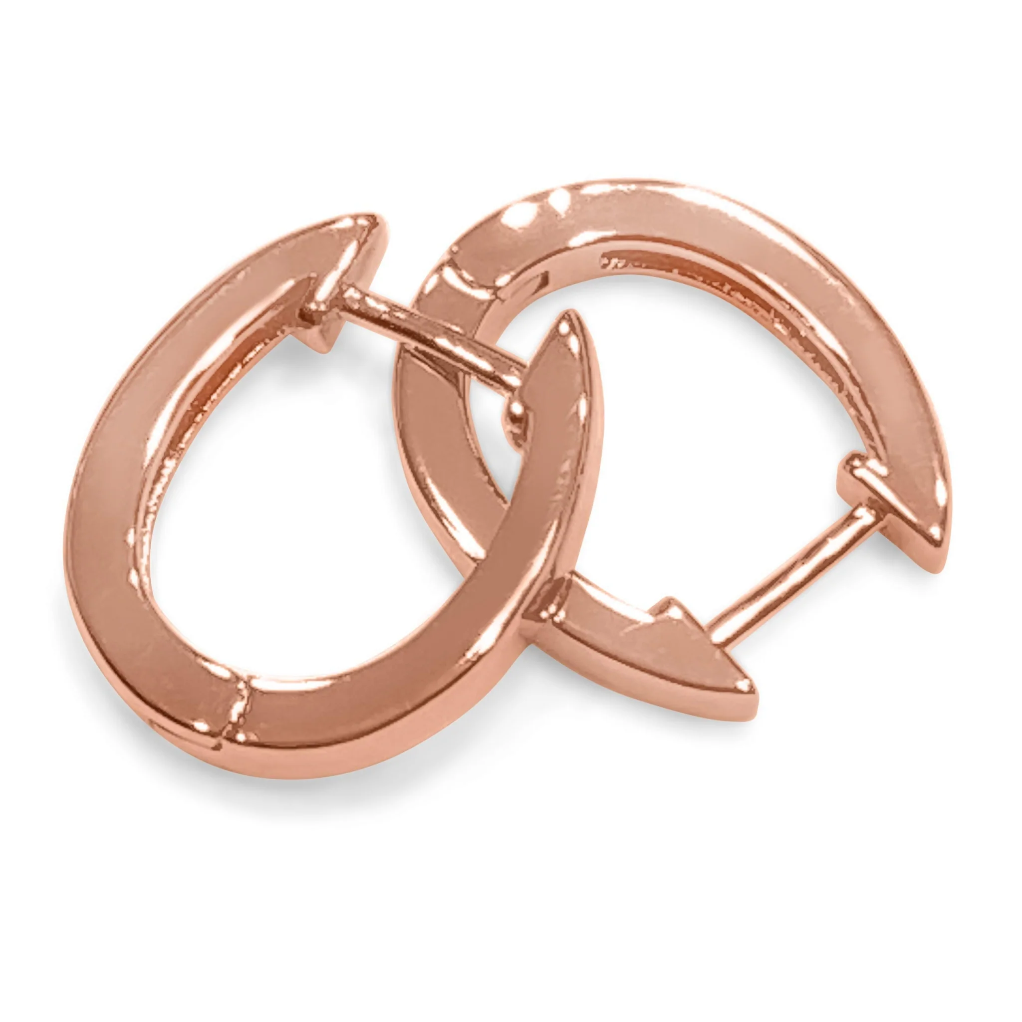 Horseshoe Hinge Earrings - Image 2