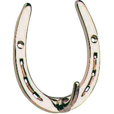 Horseshoe Hook