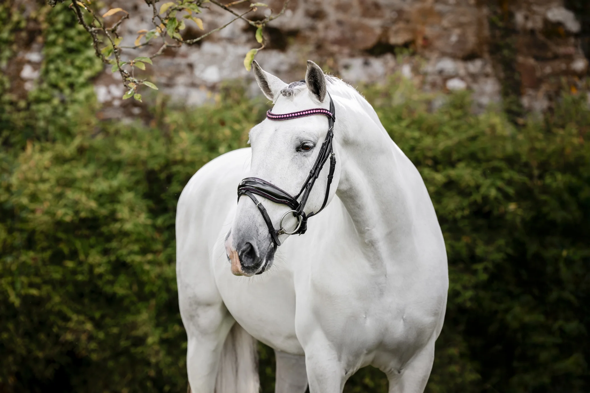 Horseware Diamante Flash Bridle - Image 2