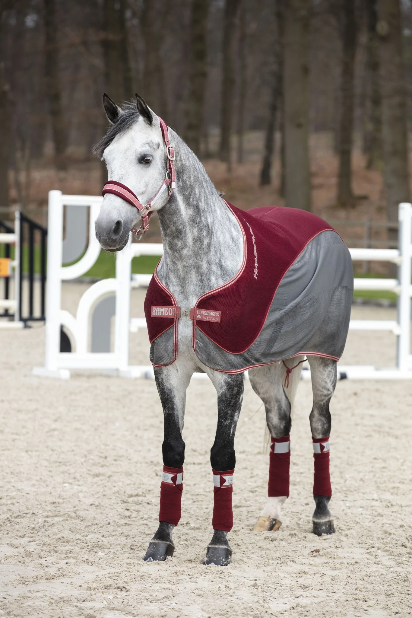 Horseware Fashion Airmesh Halter - Image 2