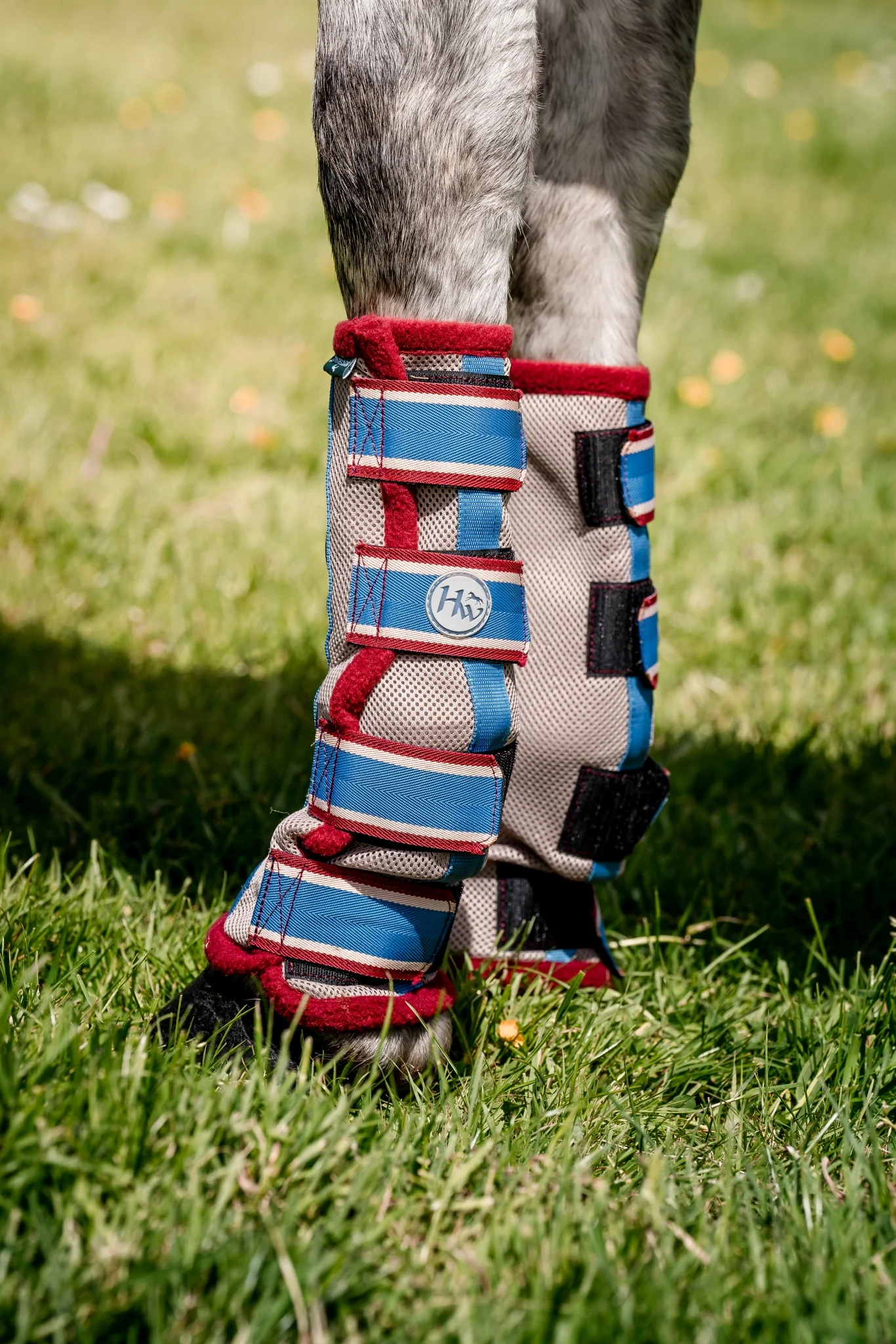 Horseware Fly Boots - Image 3